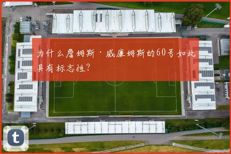 为什么詹姆斯·威廉姆斯的60号如此具有标志性？